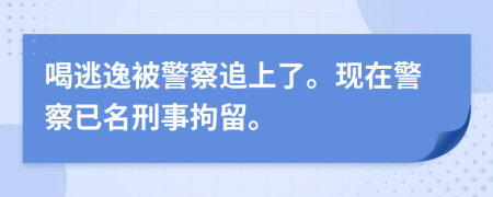 喝逃逸被警察追上了。现在警察已名刑事拘留。