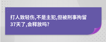 打人致轻伤,不是主犯,但被刑事拘留37天了,会释放吗?