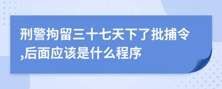 刑警拘留三十七天下了批捕令,后面应该是什么程序