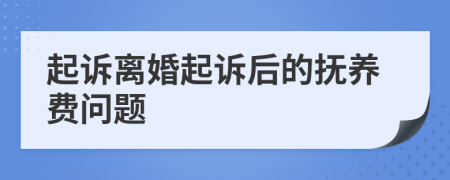 起诉离婚起诉后的抚养费问题