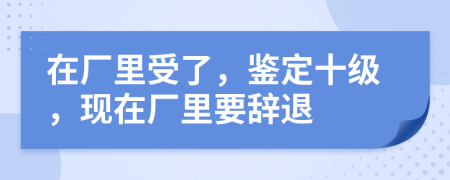 在厂里受了，鉴定十级，现在厂里要辞退