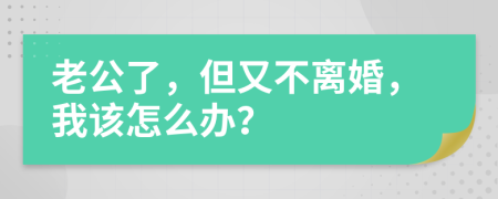 老公了，但又不离婚，我该怎么办？