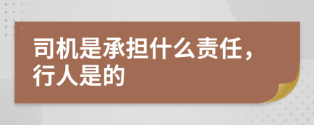 司机是承担什么责任，行人是的