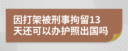 因打架被刑事拘留13天还可以办护照出国吗