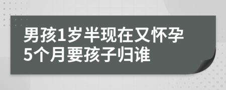 男孩1岁半现在又怀孕5个月要孩子归谁