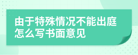 由于特殊情况不能出庭怎么写书面意见