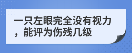 一只左眼完全没有视力，能评为伤残几级