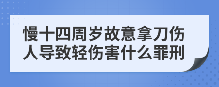 慢十四周岁故意拿刀伤人导致轻伤害什么罪刑