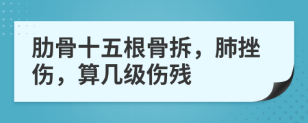 肋骨十五根骨拆，肺挫伤，算几级伤残