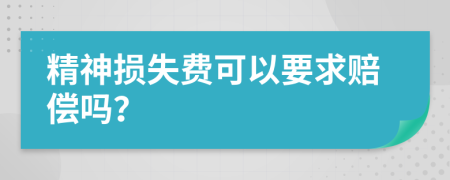 精神损失费可以要求赔偿吗？