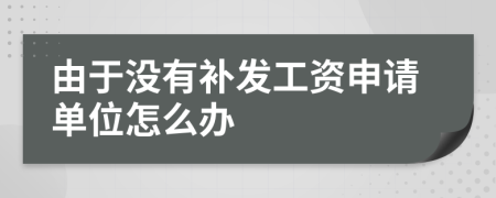 由于没有补发工资申请单位怎么办