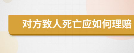 对方致人死亡应如何理赔