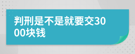 判刑是不是就要交3000块钱