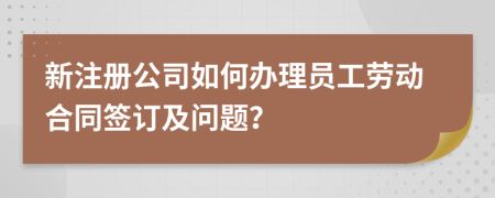 新注册公司如何办理员工劳动合同签订及问题？