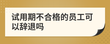 试用期不合格的员工可以辞退吗