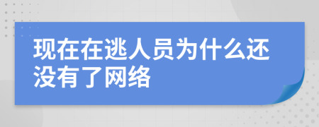 现在在逃人员为什么还没有了网络