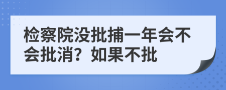 检察院没批捕一年会不会批消？如果不批