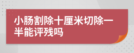 小肠割除十厘米切除一半能评残吗