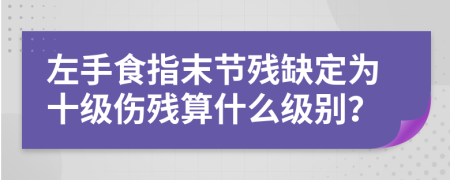 左手食指末节残缺定为十级伤残算什么级别？