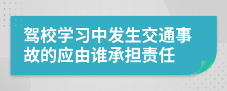 驾校学习中发生交通事故的应由谁承担责任