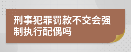 刑事犯罪罚款不交会强制执行配偶吗