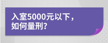 入室5000元以下，如何量刑？