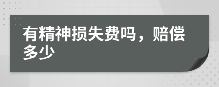 有精神损失费吗，赔偿多少