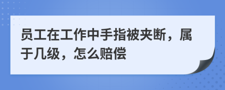 员工在工作中手指被夹断，属于几级，怎么赔偿