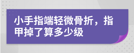 小手指端轻微骨折，指甲掉了算多少级