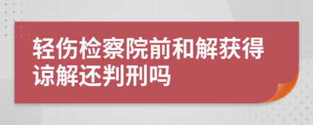 轻伤检察院前和解获得谅解还判刑吗