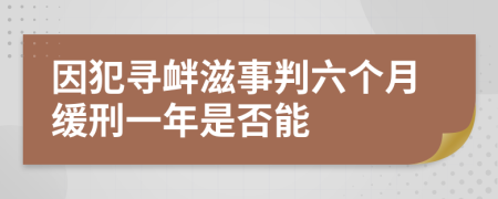 因犯寻衅滋事判六个月缓刑一年是否能