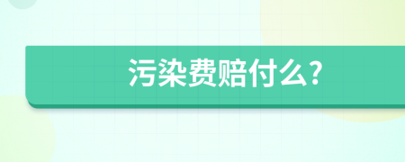 污染费赔付么?