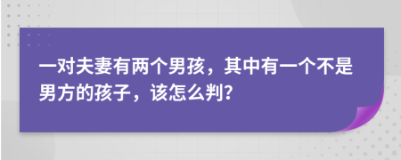 一对夫妻有两个男孩，其中有一个不是男方的孩子，该怎么判？