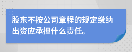 股东不按公司章程的规定缴纳出资应承担什么责任。