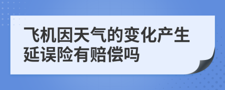 飞机因天气的变化产生延误险有赔偿吗