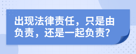 出现法律责任，只是由负责，还是一起负责？