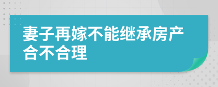 妻子再嫁不能继承房产合不合理