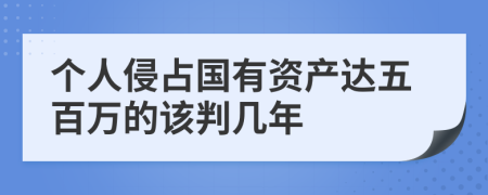 个人侵占国有资产达五百万的该判几年