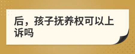 后，孩子抚养权可以上诉吗