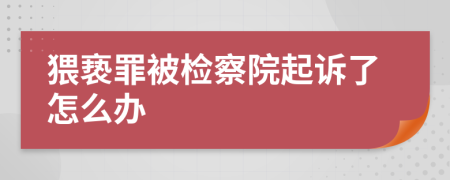 猥亵罪被检察院起诉了怎么办