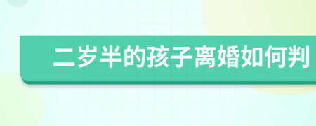 二岁半的孩子离婚如何判