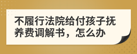 不履行法院给付孩子抚养费调解书，怎么办