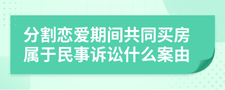 分割恋爱期间共同买房属于民事诉讼什么案由