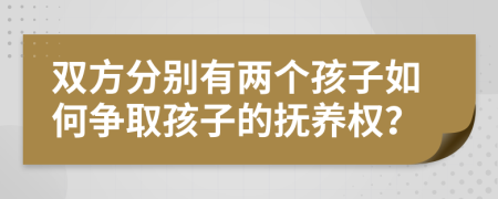 双方分别有两个孩子如何争取孩子的抚养权？