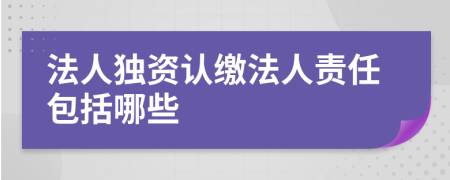 法人独资认缴法人责任包括哪些