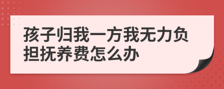 孩子归我一方我无力负担抚养费怎么办