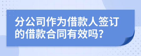 分公司作为借款人签订的借款合同有效吗？