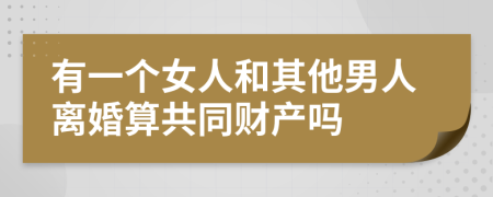 有一个女人和其他男人离婚算共同财产吗