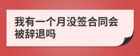 我有一个月没签合同会被辞退吗