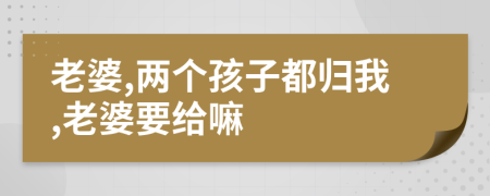 老婆,两个孩子都归我,老婆要给嘛